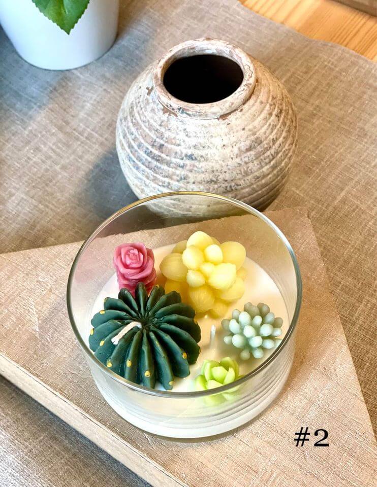 Garden Terrarium Candle – A Touch of Nature’s Serenity-5