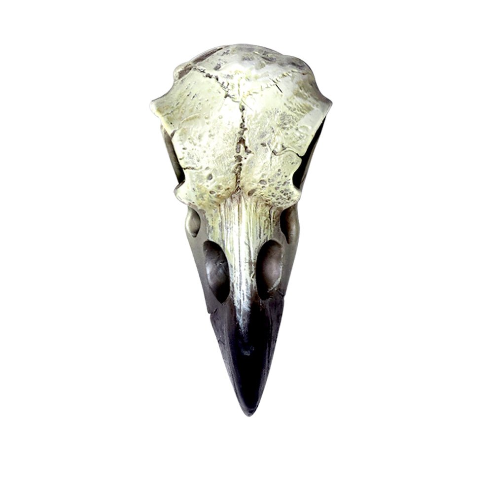 Reliquary Raven Skull-0