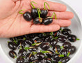 Lotus flower sprouts and seeds