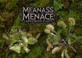 Venus Fly Trap