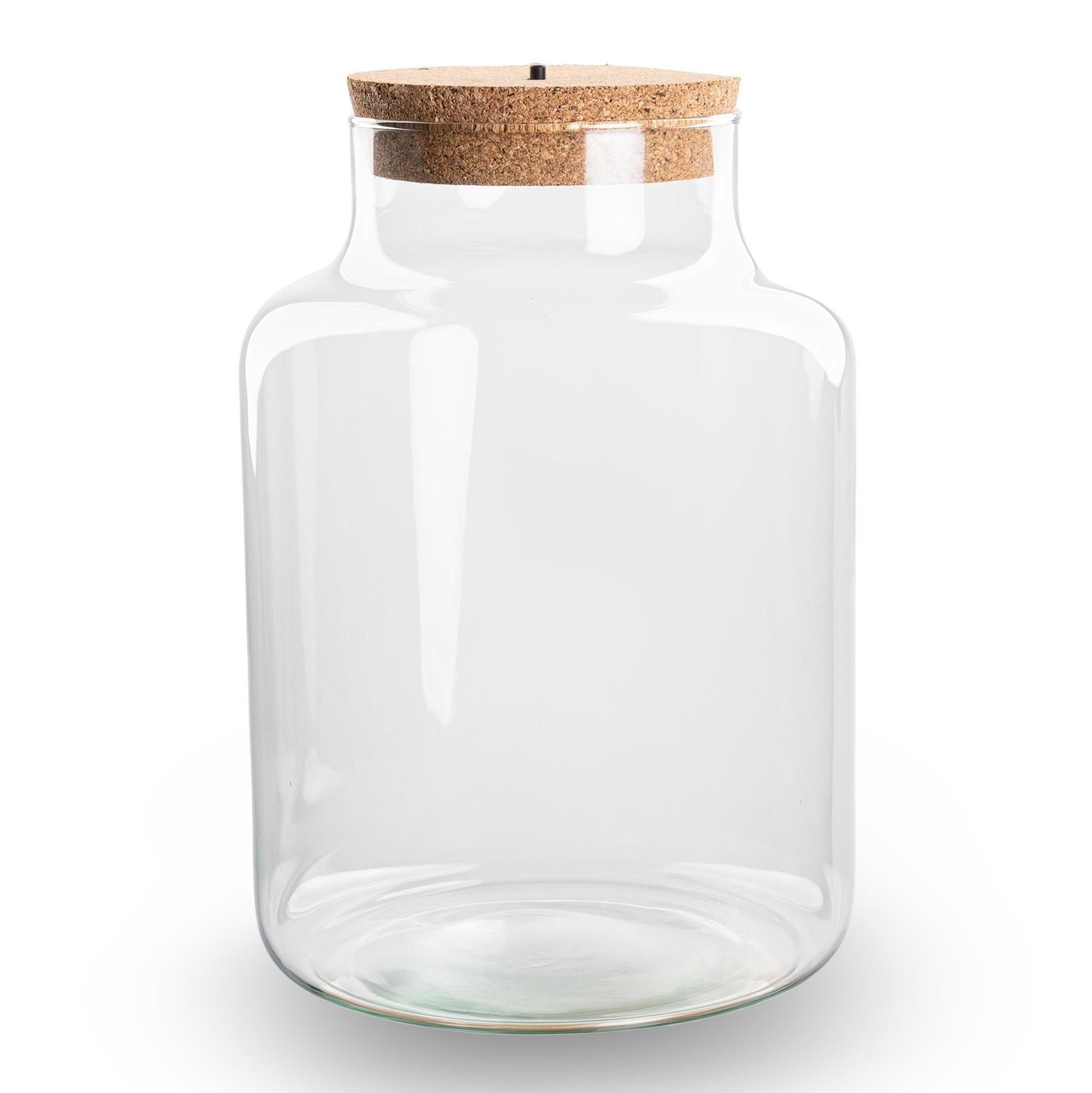Terrarium Flasche – Geschlossene Glasflasche mit Korken & LED-Beleuchtung – Höhe 24,5cm Ø17cm – Dekoratives Pflanzenterrarium aus Recyclingglas-2