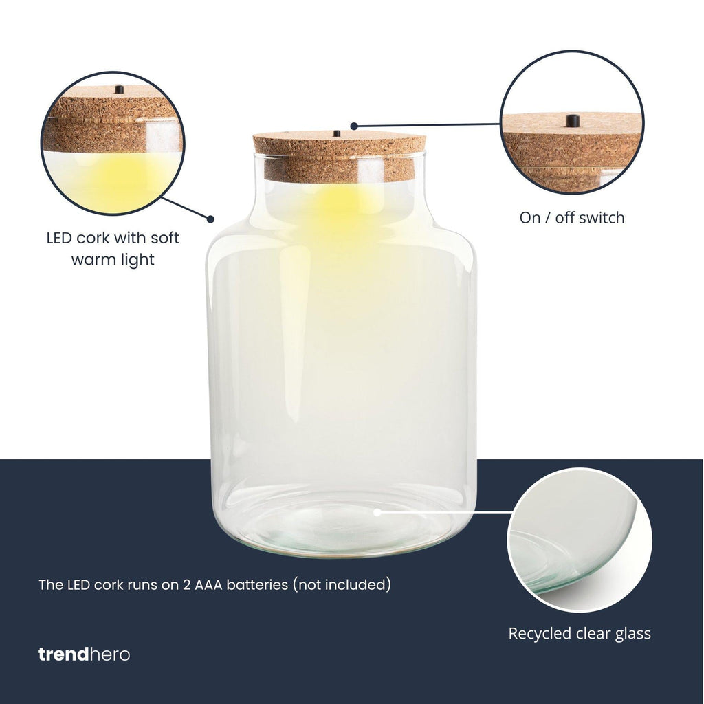 Terrarium Flasche – Geschlossene Glasflasche mit Korken & LED-Beleuchtung – Höhe 24,5cm Ø17cm – Dekoratives Pflanzenterrarium aus Recyclingglas-1