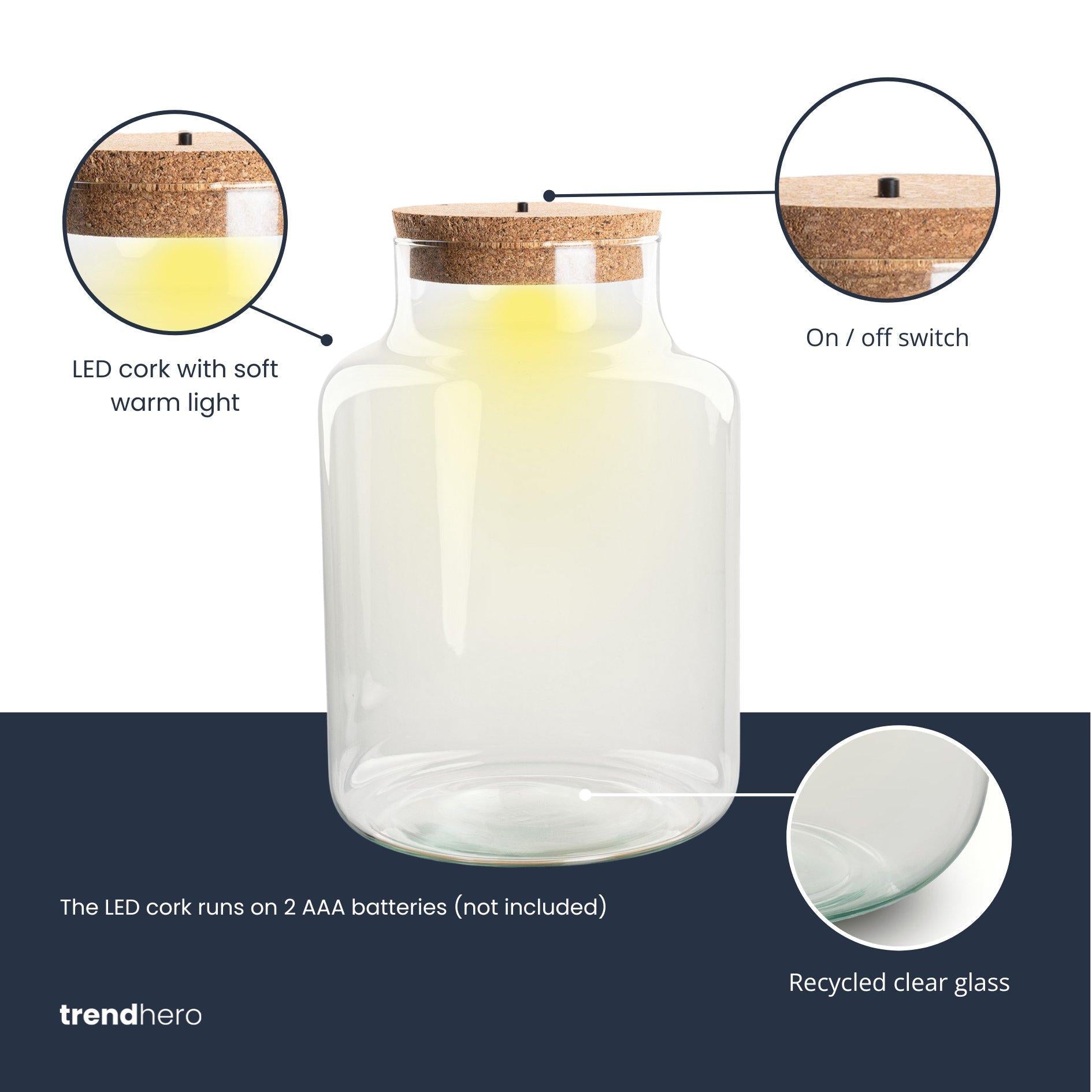 Terrarium Flasche – Geschlossene Glasflasche mit Korken & LED-Beleuchtung – Höhe 24,5cm Ø17cm – Dekoratives Pflanzenterrarium aus Recyclingglas-1