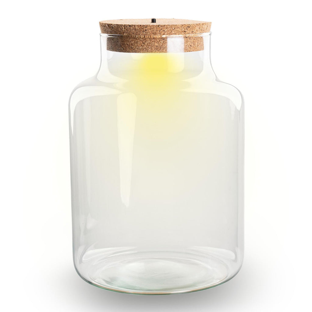 Terrarium Flasche – Geschlossene Glasflasche mit Korken & LED-Beleuchtung – Höhe 24,5cm Ø17cm – Dekoratives Pflanzenterrarium aus Recyclingglas-0