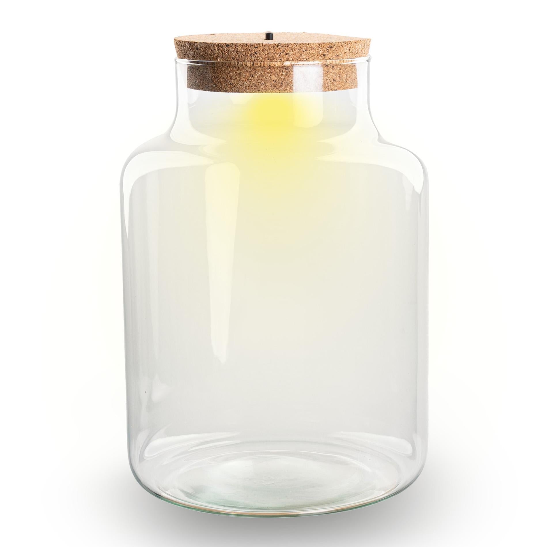 Terrarium Flasche – Geschlossene Glasflasche mit Korken & LED-Beleuchtung – Höhe 24,5cm Ø17cm – Dekoratives Pflanzenterrarium aus Recyclingglas-0