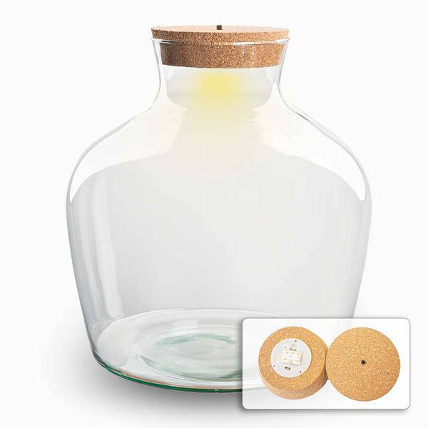 Flaschengarten – Terrarienflasche Fat Joe – geschlossenes Terrarium mit Korkdeckel – H30cm – Klarglas – aus recyceltem Glas – DIY Pflanzengefäß-0