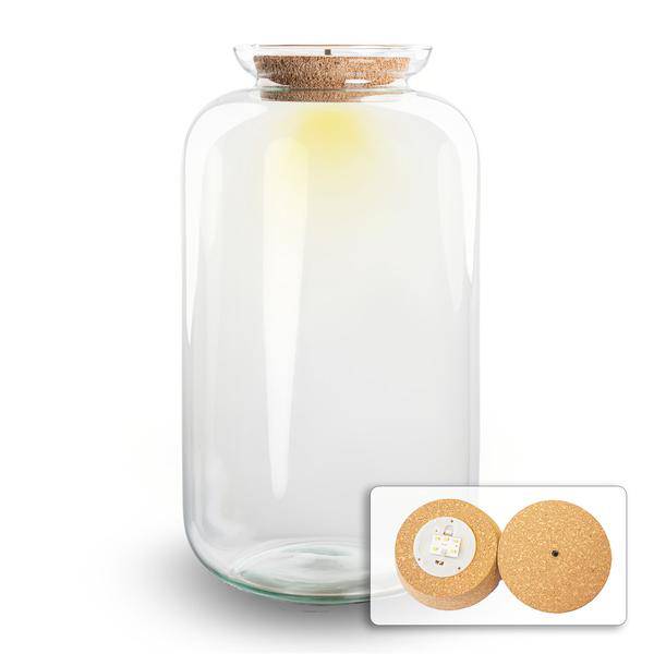 Flaschengarten - Terrarium Flasche + LED in Kork - Sven XL - ↑43cm – Recyceltes Glas – Geschlossenes Terrarium – Mit Beleuchtung-0