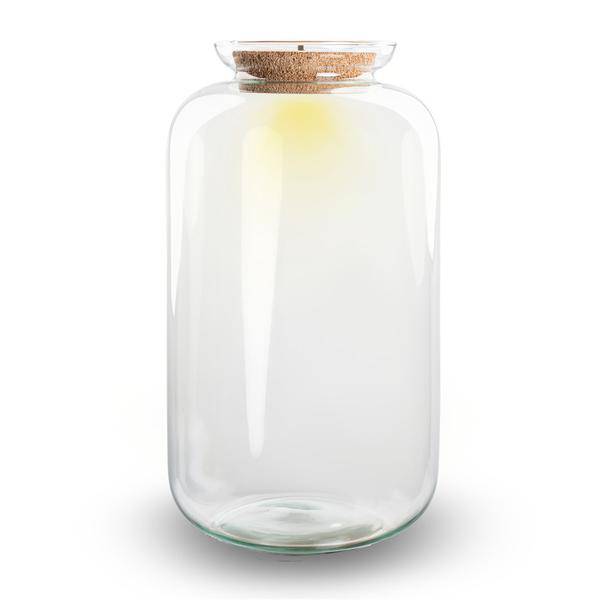 Flaschengarten - Terrarium Flasche + LED in Kork - Sven XL - ↑43cm – Recyceltes Glas – Geschlossenes Terrarium – Mit Beleuchtung-1