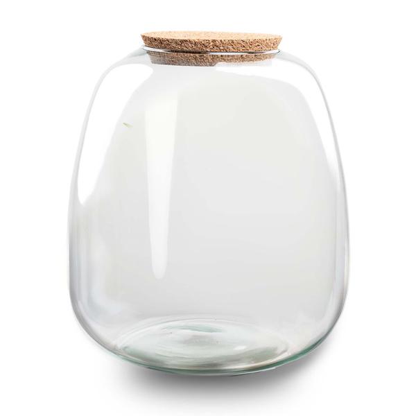 Terrarium Flasche Emma – Glasflasche 25x23cm – Dekoglas für Pflanzenterrarium, Flaschengarten & kreative Bepflanzungen – Hochwertiges Glasgefäß für Zimmerpflanzen & DIY-Deko-0