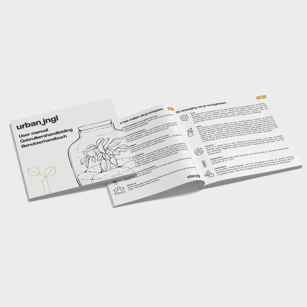 Flaschengarten Set – Calathea Lancifolia – DIY Terrarium Starter-Kit & Nachfüllpack – Mini-Ökosystem mit Fittonia & Blumenzwiebeln – Inkl. Anleitung & Zubehör-3