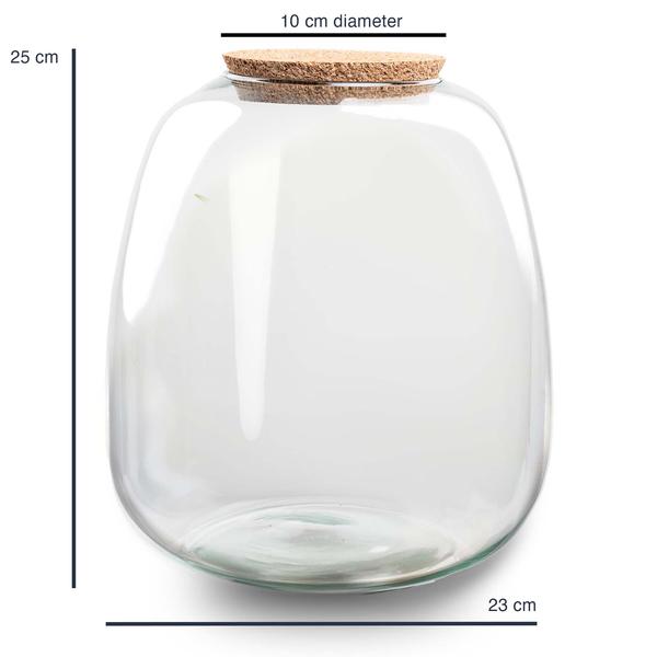 Terrarium Flasche Emma – Glasflasche 25x23cm – Dekoglas für Pflanzenterrarium, Flaschengarten & kreative Bepflanzungen – Hochwertiges Glasgefäß für Zimmerpflanzen & DIY-Deko-1