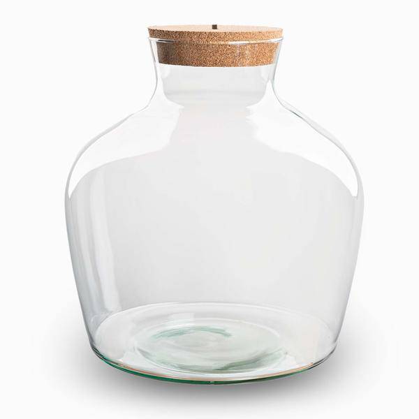 Flaschengarten – Terrarienflasche Fat Joe – geschlossenes Terrarium mit Korkdeckel – H30cm – Klarglas – aus recyceltem Glas – DIY Pflanzengefäß-1